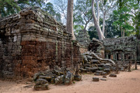 Ta Prohm Temple -9