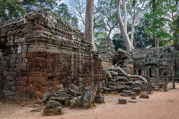 Ta Prohm Temple -9