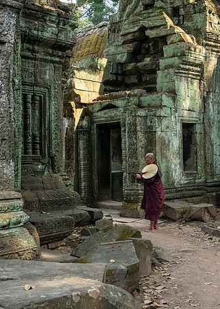 Ta Prohm Temple -27