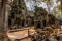 Ta Prohm Temple -13