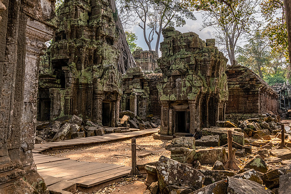 Ta Prohm Temple -13