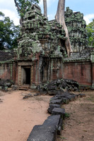 Ta Prohm Temple -8
