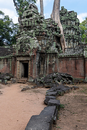 Ta Prohm Temple -8
