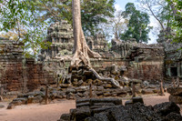 Ta Prohm Temple -7