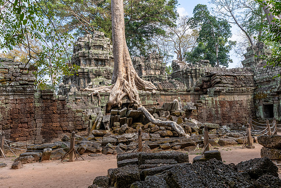 Ta Prohm Temple -7