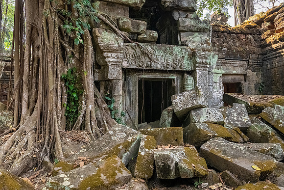 Ta Prohm Temple -29