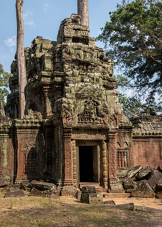 Ta Prohm Temple -10