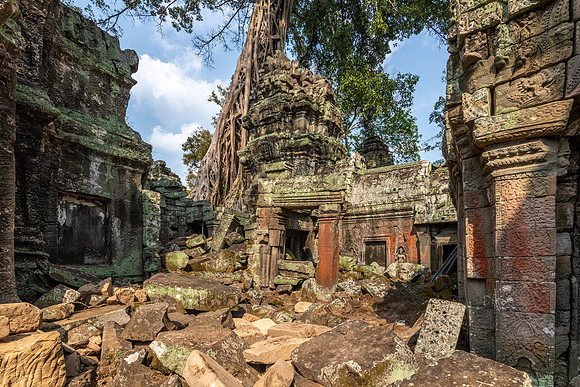 Ta Prohm Temple -21