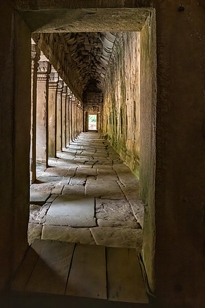 Ta Prohm Temple -30