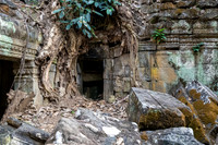 Ta Prohm Temple -17