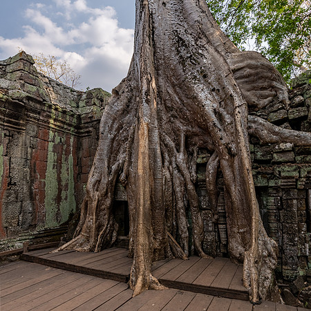 Ta Prohm Temple -14