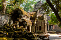 Ta Prohm Temple -4