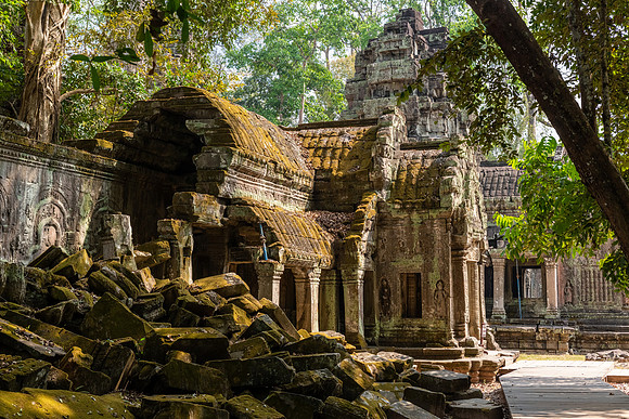 Ta Prohm Temple -4