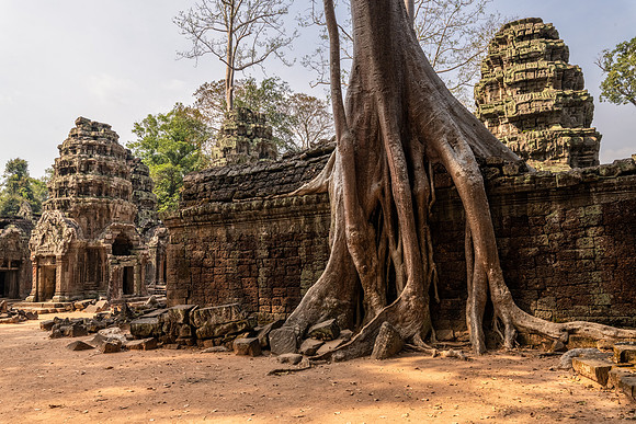 Ta Prohm Temple -25