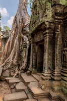 Ta Prohm Temple -15