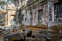 Ta Prohm Temple -18