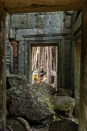 Ta Prohm Temple -28