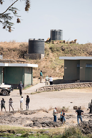 Lions by Water Tanks Feeding Public Toilets -2