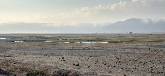 Ngorongoro Crater Floor