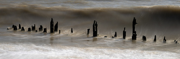 Sussex-143