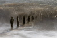 Sussex-145