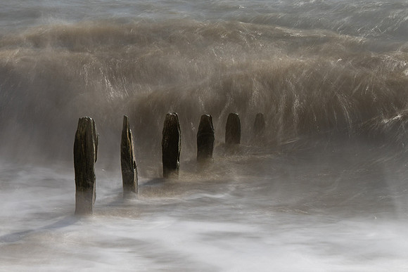 Sussex-145
