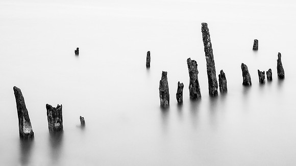 Sussex-49