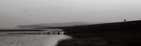 Sussex-48