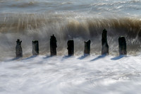 Sussex-148