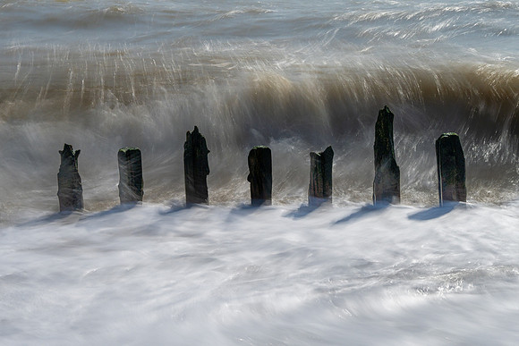 Sussex-148
