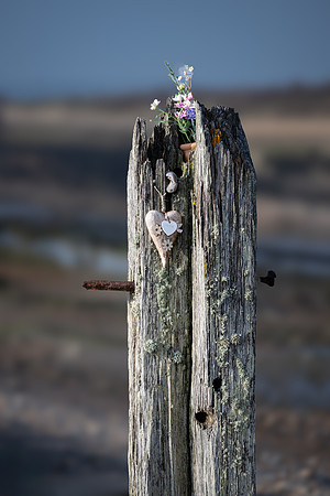 Sussex-42