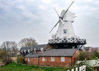 Rye -19