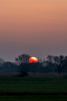 Sussex-55