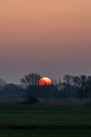 Sussex-55