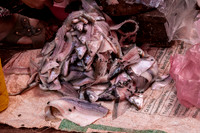 Market -3
