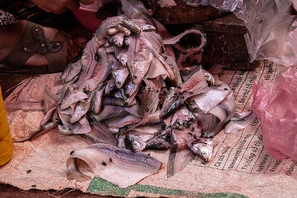 Market -3