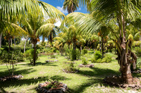 La Union Estate Botanical Garden