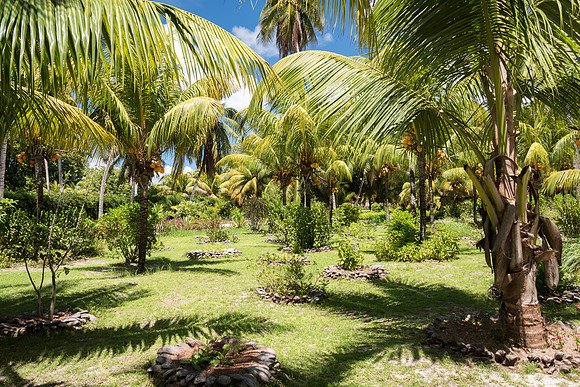 La Union Estate Botanical Garden