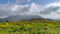 View from Temple