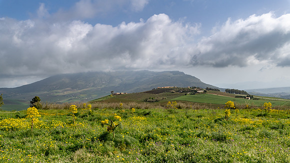 View from Temple