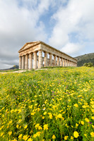 Doric Temple Segesta -2