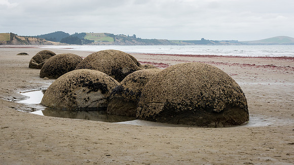 Moeraki Boulders -3