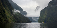Doubtful Sound in the Rain