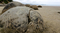 Moeraki Boulders -1