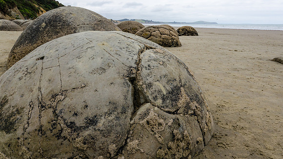 Moeraki Boulders -1
