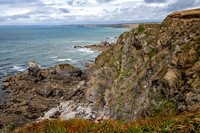 Hope Cove Cliffs