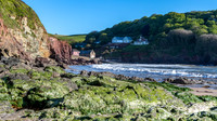 Hope Cove -2