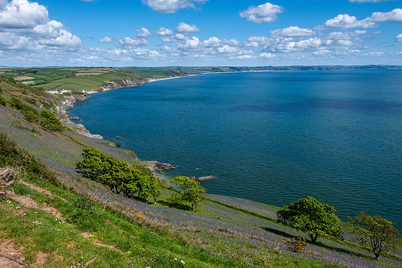 Freshwater Bay -1