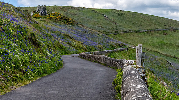 The Path to Start Point