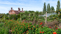 Sissinghurst -11